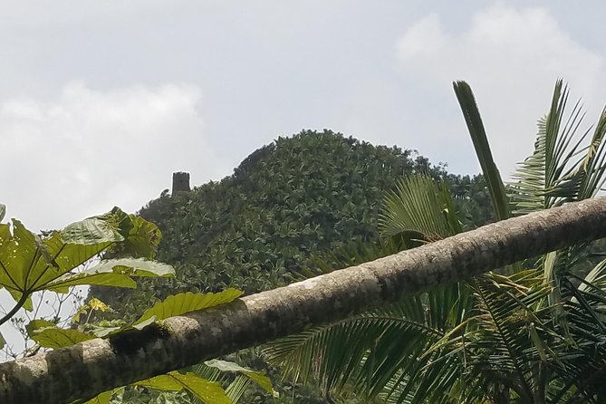 El Yunque Rainforest Full Day Private Tour - Is $333 per person a fair price?