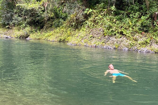 El Yunque Rainforest Guided Day Tour from San Juan - The ride from San Juan to the rainforest