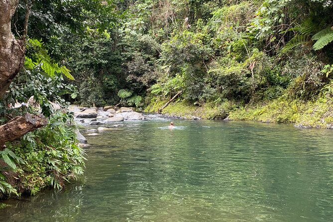 El Yunque Rainforest Guided Day Tour from San Juan - Mameyes II brings the forest down to river level