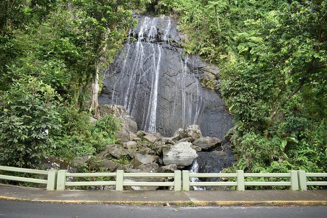 El Yunque Rainforest Guided Day Tour from San Juan - The lunch stop keeps the day local, but lunch costs extra