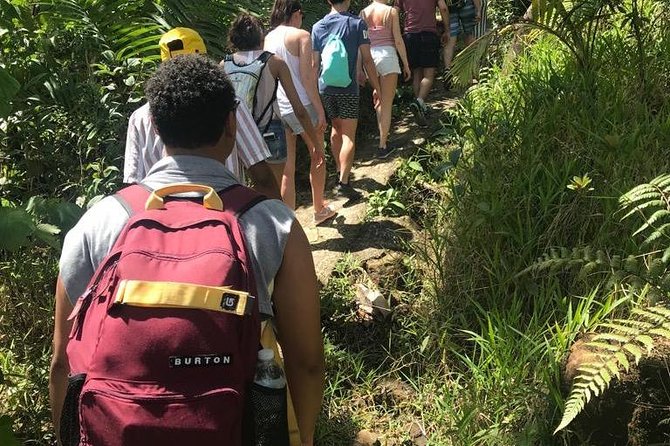 El Yunque Rainforest Guided Day Tour from San Juan - The guides shape the experience