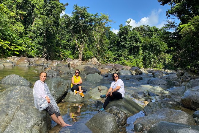 El Yunque Rainforest Guided Day Tour from San Juan - La Coca Waterfall is a roadside glimpse