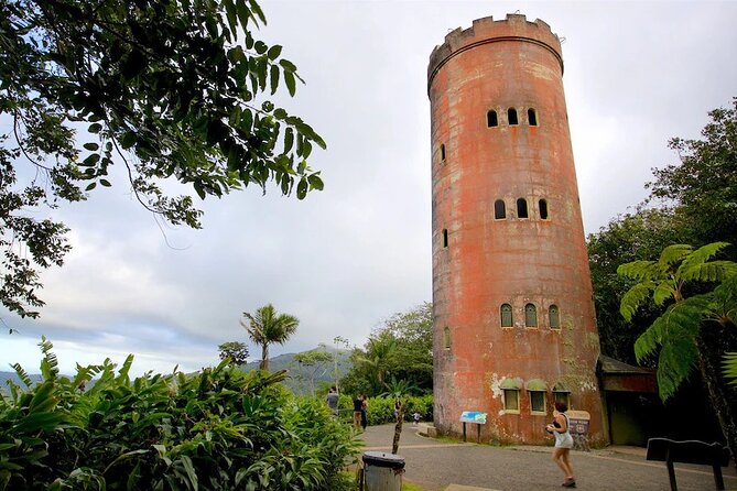 El Yunque Rainforest Guided Tour - The Waterfall Stop and River Swimming