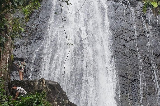 El Yunque Rainforest Guided Tour - A Local Food Stop After the Forest