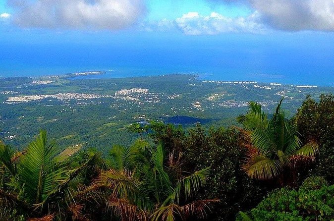El Yunque Rainforest Guided Tour - What to Pack for a Better Day
