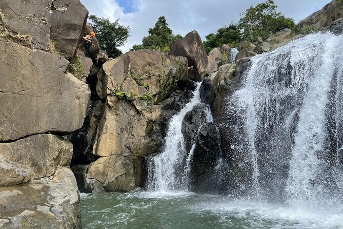 El Yunque Rainforest Hike and Luquillo Beach Tour - What the $189 price includes