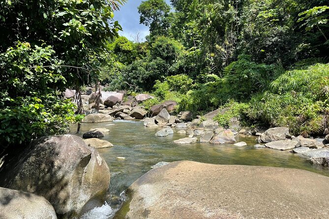 El Yunque Rainforest Hike and Luquillo Beach Tour - Who should book this experience