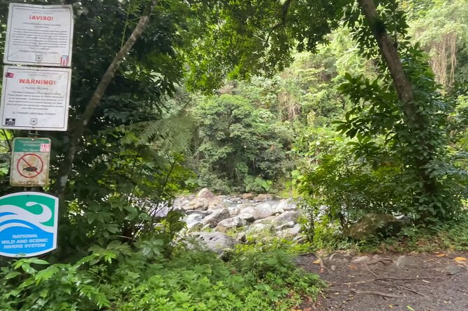 El Yunque Rainforest Hike with Transport from San Juan - Waterfalls, pools, and changing water levels