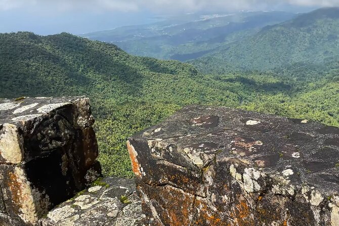 El Yunque Rainforest Hike with Transport from San Juan - Food, local stops, and the day’s timing