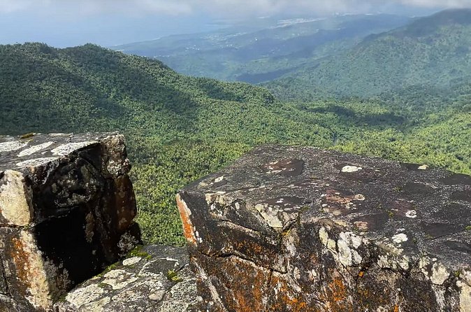 El Yunque Rainforest Hike with Transport from San Juan - What the $125 price really buys you