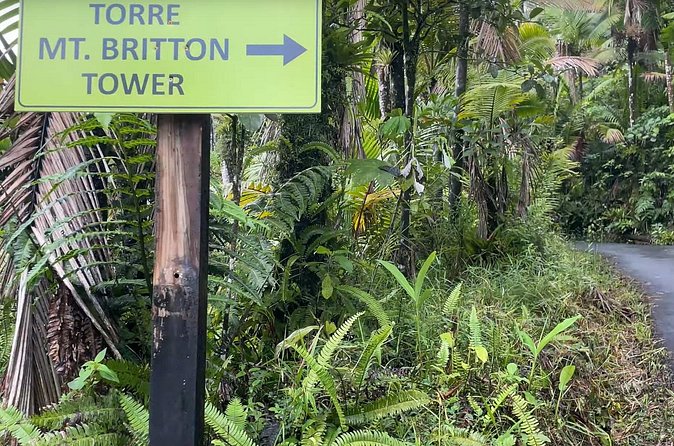 El Yunque Rainforest Hike with Transport from San Juan - Who should book this rainforest outing