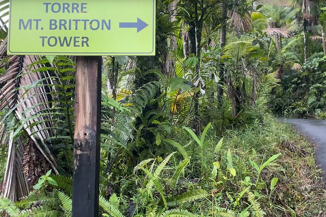 El Yunque Rainforest Hike with Transport from San Juan - Reaching Mt. Britton Lookout Tower