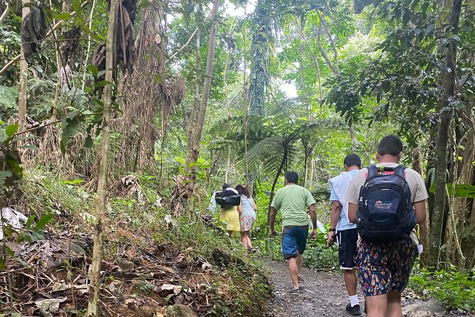 El Yunque Rainforest Hiking Tour from San Juan - San Juan to El Yunque without the rental car