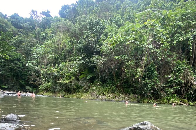 El Yunque Rainforest Hiking Tour from San Juan - The rainforest trail and what moderate really means