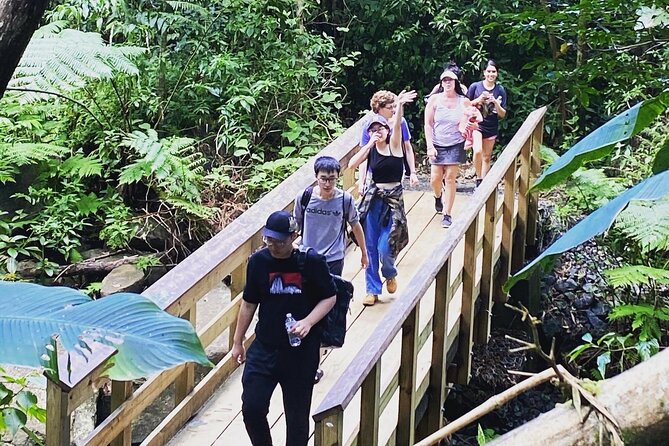 El Yunque Rainforest Hiking Tour from San Juan - The river stop and optional swim