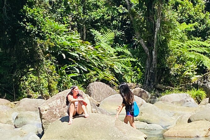 El Yunque Rainforest Hiking Tour from San Juan - The guides make a real difference