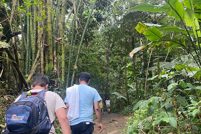 El Yunque Rainforest Hiking Tour from San Juan - Is $79 a fair price?