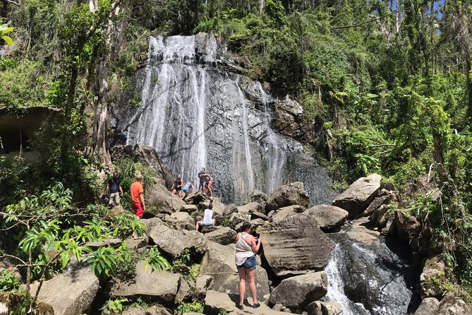 El Yunque Rainforest Hiking Tour from San Juan - Yokahu Tower and the first big forest view