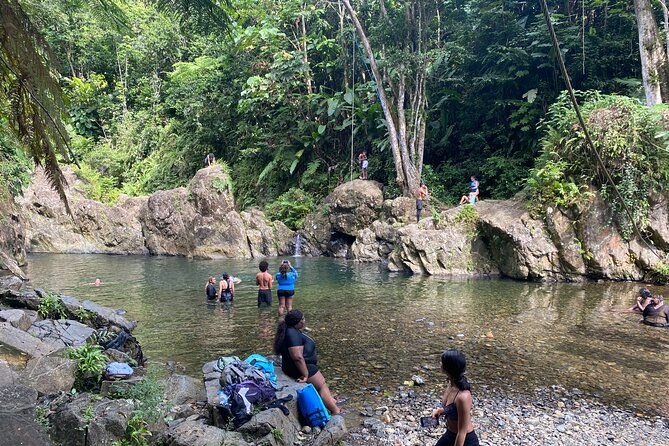 El Yunque Rainforest Morning River and Hike Adventure - What the $120 price really covers