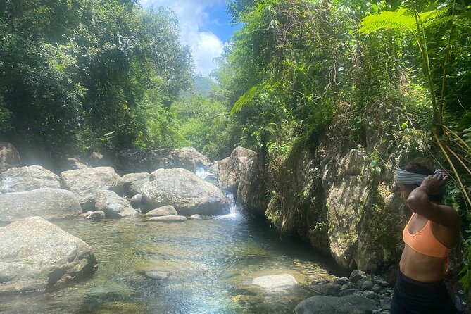 El Yunque Rainforest Morning River and Hike Adventure - Who will enjoy this most