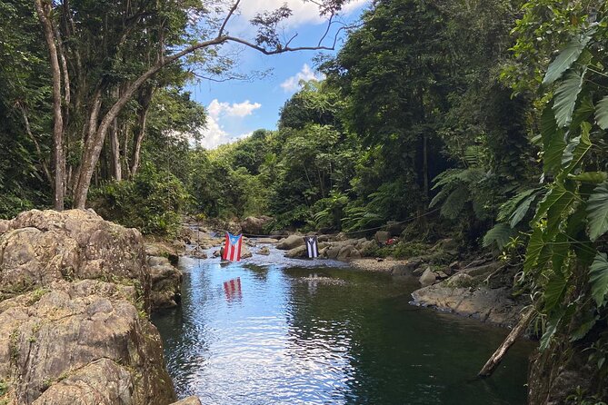 El Yunque Rainforest Morning River and Hike Adventure - The 20 to 30-minute walk through the rainforest