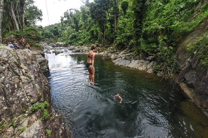 El Yunque Rainforest Tour from Fajardo - What the $89 price includes