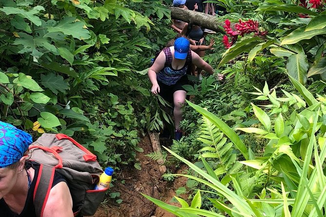 El Yunque Rainforest Tour from Fajardo - Las Tinajas and the first clear pool