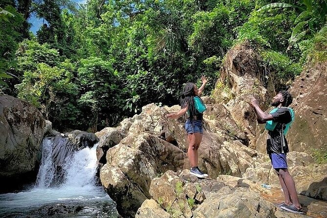 El Yunque Rainforest Tour Half Day Earlybird/ Small Groups - Natural slides, rope swings, and waterfall pools