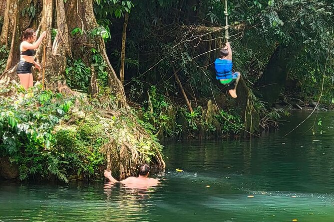 El Yunque Rainforest Tour Half Day Earlybird/ Small Groups - Who should book, and who should skip it