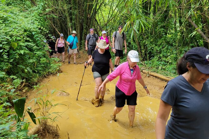 El Yunque Rainforest - Waterslide, Cliff jump, and Rope swing! - Who should book this tour