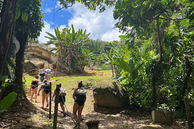 El Yunque Waterslide and Waterfall Tour with Food and Photos - What the two-hour rainforest stop feels like