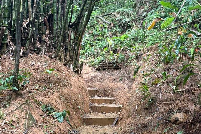 El Yunque Waterslides, Jumps, swing! small business owner:) - What the guide adds beyond the activities