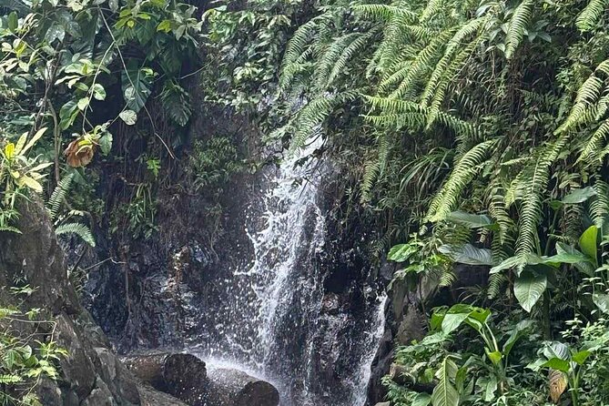El Yunque Waterslides, Jumps, swing! small business owner:) - Photos, videos, water, and life jackets