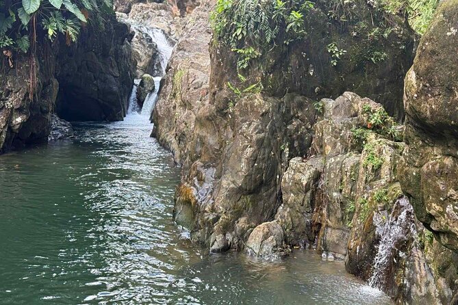 El Yunque Waterslides, Jumps, swing! small business owner:) - Is $40 a fair price?