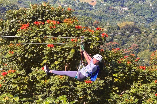 El Yunque Ziplining in Puerto Rico - Who should book this Luquillo adventure?