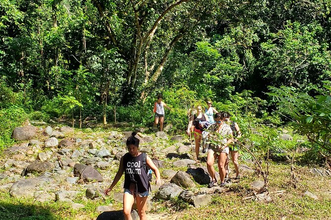 El Yunque Ziplining with River and Beach Visit - Eleven zip lines above the rainforest foothills