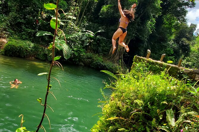 El Yunque Ziplining with River and Beach Visit - Who should book this El Yunque day trip?