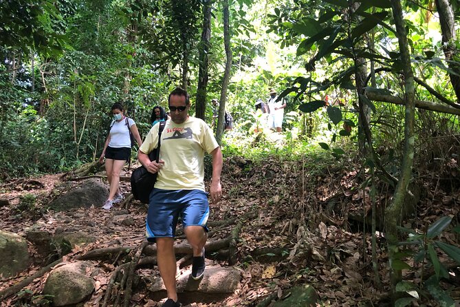 Epic Guided Adventure in El Yunque National Rainforest & Beach - The natural waterslide is fun, but take it seriously