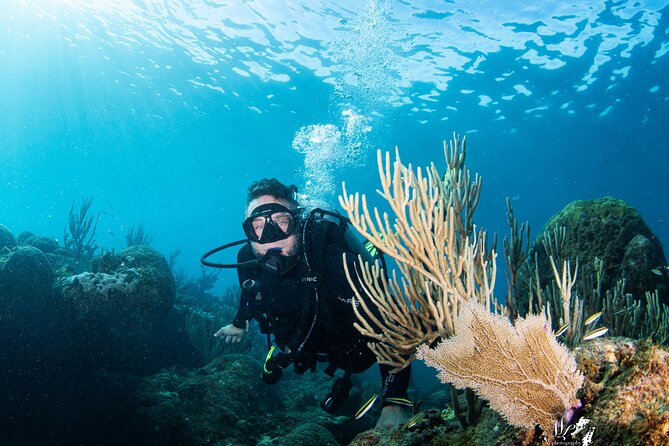 Experience Scuba - Key points at a glance