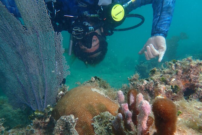Experience Scuba Diving / NO certification Needed - What the 2.5-hour Rincón session is really like