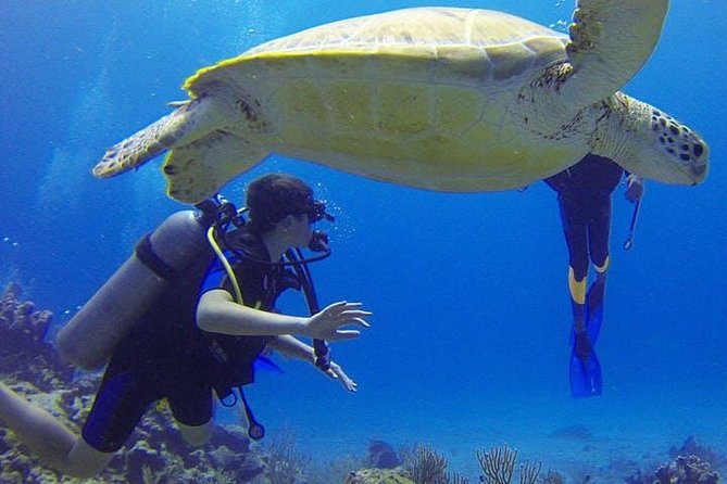 Experience Scuba Diving / NO certification Needed - Entering from the beach instead of a boat