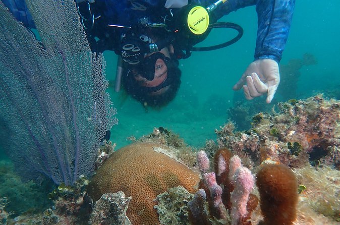 Experience Scuba Diving / NO certification Needed - Who should book this experience