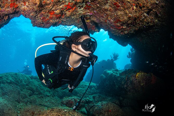 Experience Scuba - Exploring Puerto Rico’s reef life
