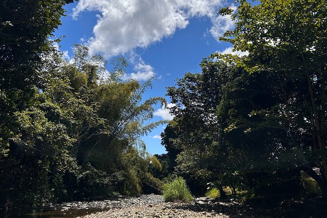 Explore El Yunque: Hiking, Swings & Waterslide (Small Group) - The volcanic waterslide at the second pool