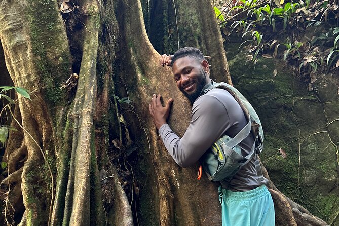 Explore El Yunque: Hiking, Swings & Waterslide (Small Group) - What the guides add to the day