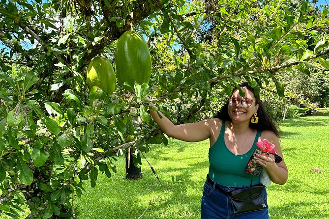 Explore Indigenous Roots, Experience a day in the life of a Taíno - Price, timing, and what the eight hours include