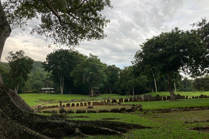 Explore Indigenous Roots, Experience a day in the life of a Taíno - Charco Los Morones, petroglyphs beside a quiet river