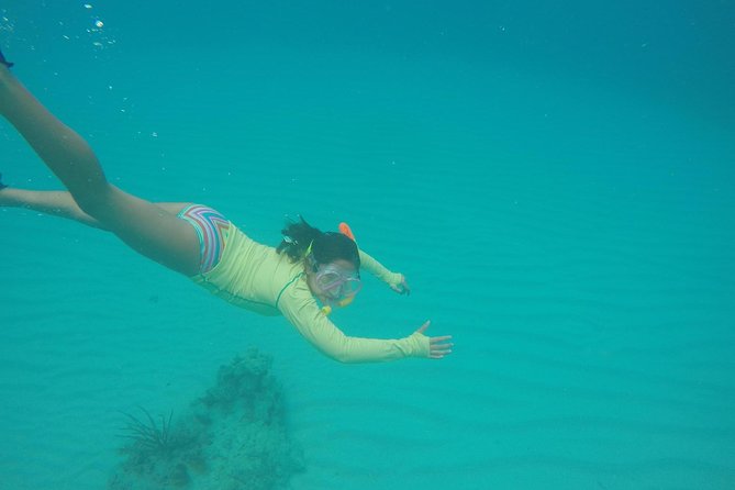 Fajardo Afternoon Snorkeling Adventure Tour - Who Should Book This Afternoon Trip?