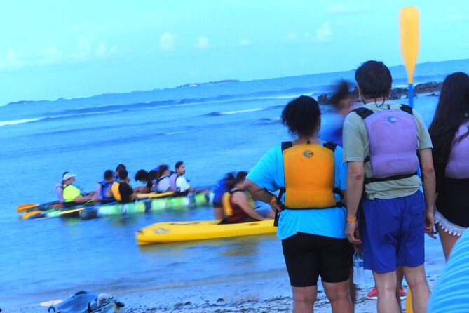 Fajardo Bioluminescent Bay Night Kayak Adventure from San Juan - Seeing the blue flashes in Laguna Grande