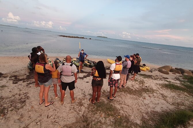 Fajardo Bioluminescent Bay Night Kayak Adventure from San Juan - Guides, safety, and the group on the water